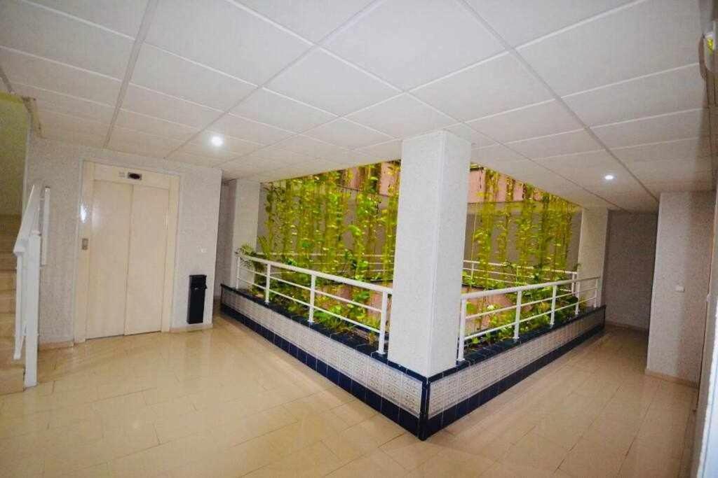 Apartamento Pink Sweet Home Torrevieja Zewnętrze zdjęcie